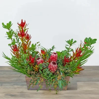 Wild Protea Crescent