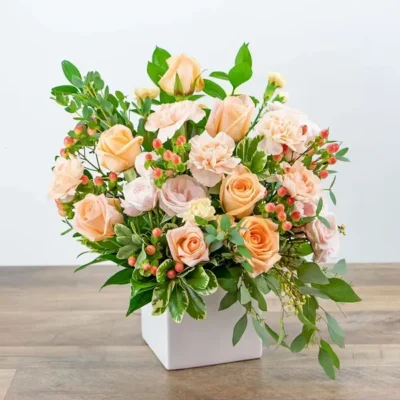 Creamsicle Chiffon