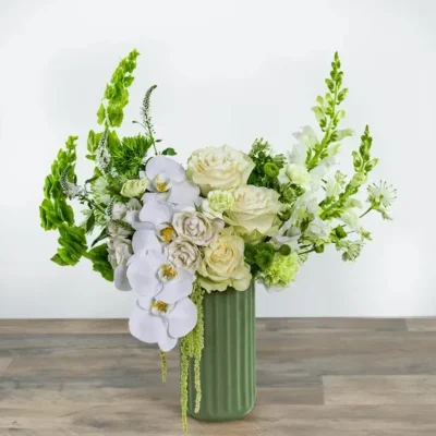 Cashmere Orchid Moment