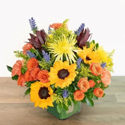 Splendid Abundance