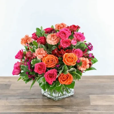 Blossoming Bellini