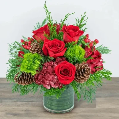 Festive Cranberry