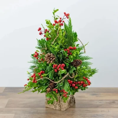 Berries & Cones Boxwood Tree