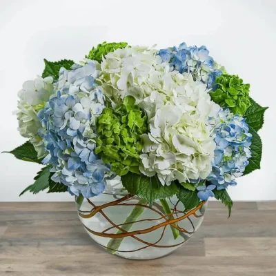 Hydrangea Heaven