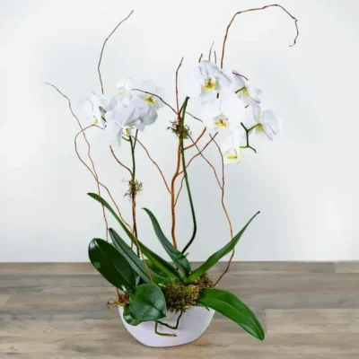 Luxe Double Orchid