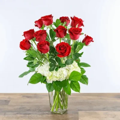 One Dozen Red Roses with White Hydrangeas