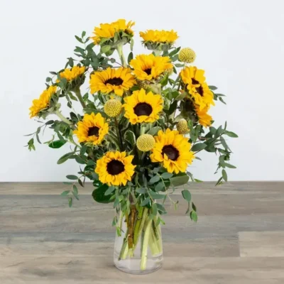 Wildflower Sunshine