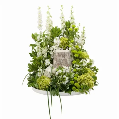 Elegance Surround